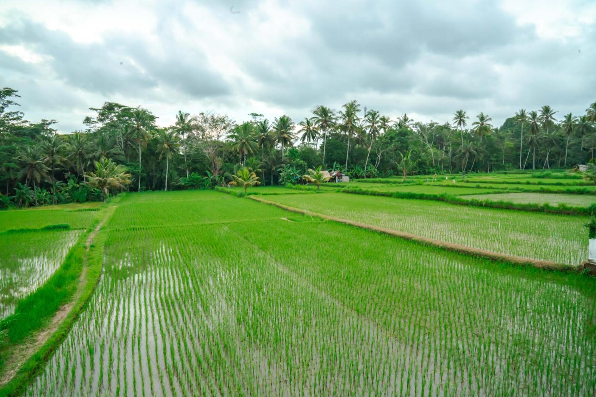 Tulus Hati Ubud Retreat Экстерьер фото